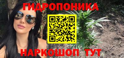 ешки Дубна