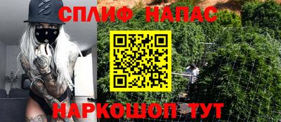 прущие крисы Донецк