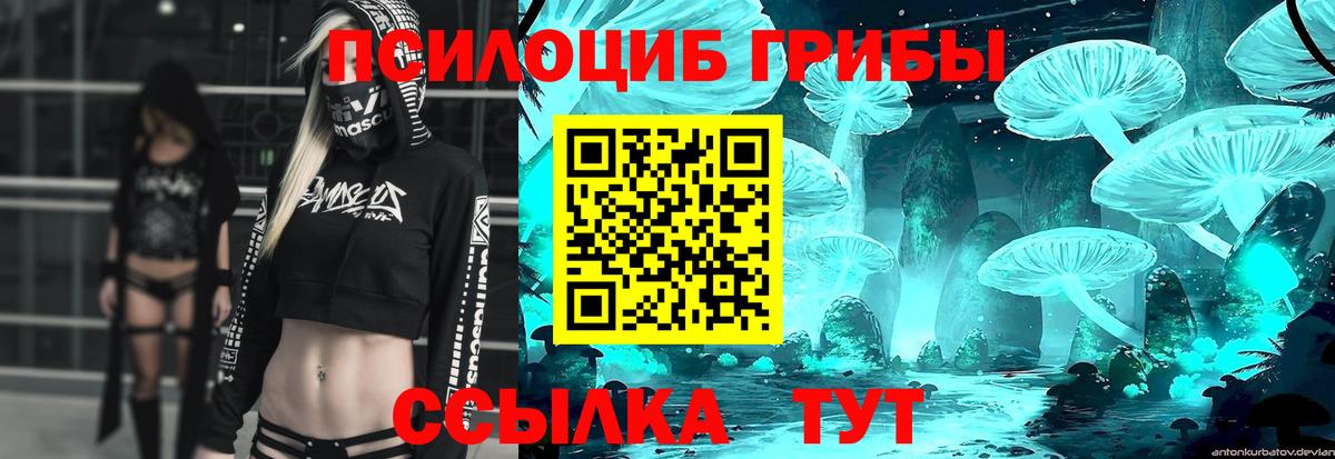 Галлюциногенные грибы ЛСД Калининград