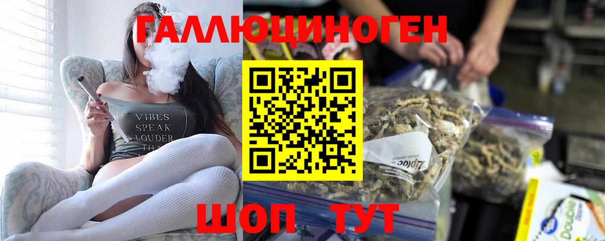 Калининград  Галлюциногенные грибы прущие грибы  Вход с VPN 